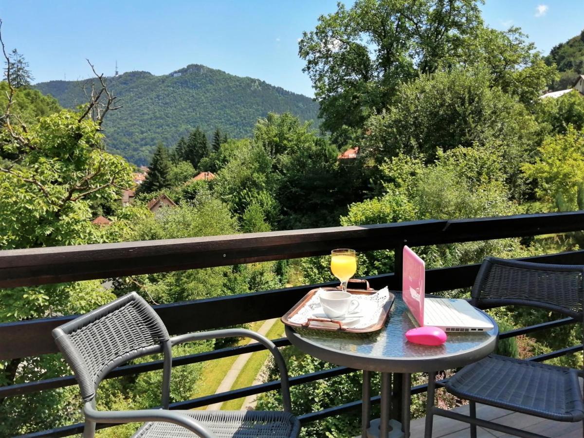 Greenhill Brasov Bagian luar foto