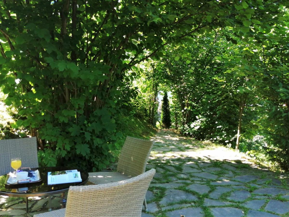 Greenhill Brasov Bagian luar foto