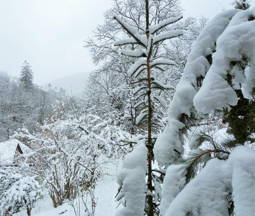 Greenhill Brasov Bagian luar foto