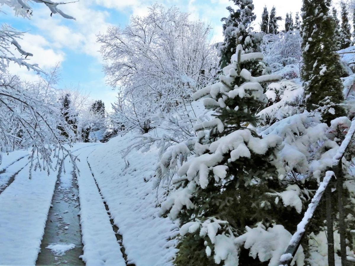 Greenhill Brasov Bagian luar foto