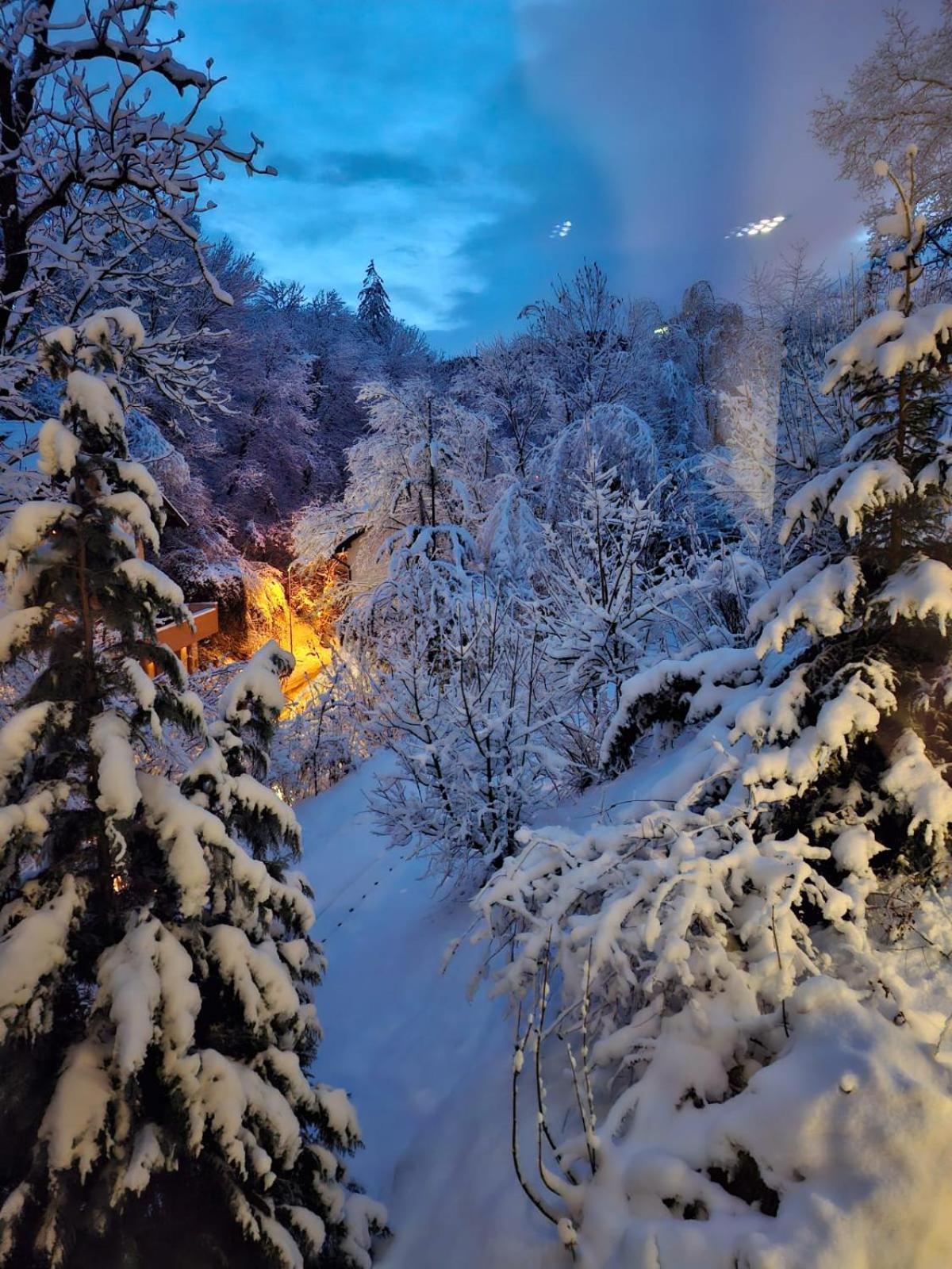 Greenhill Brasov Bagian luar foto
